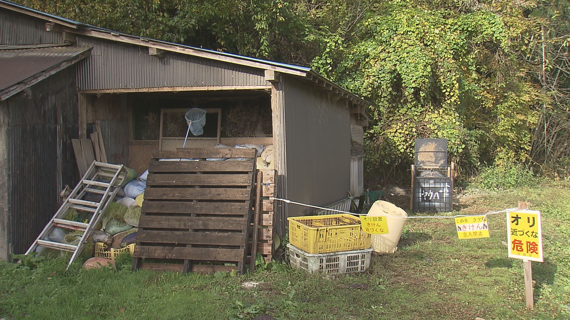 ニワトリ小屋をクマが襲ったか 地元猟友会は「初めてのこと」遭遇した男性がけが 10人目の被害【新潟】