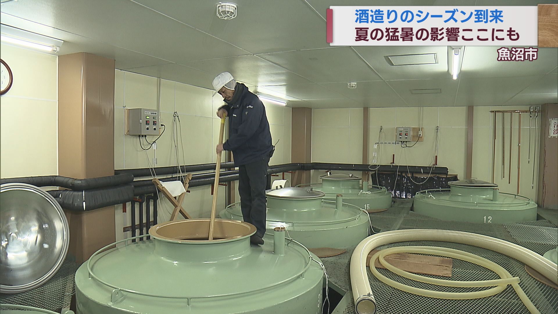 酒造りのシーズン到来 しかしここにも猛暑の影響「固い」酒米 工夫で乗り越え【新潟･魚沼市】
