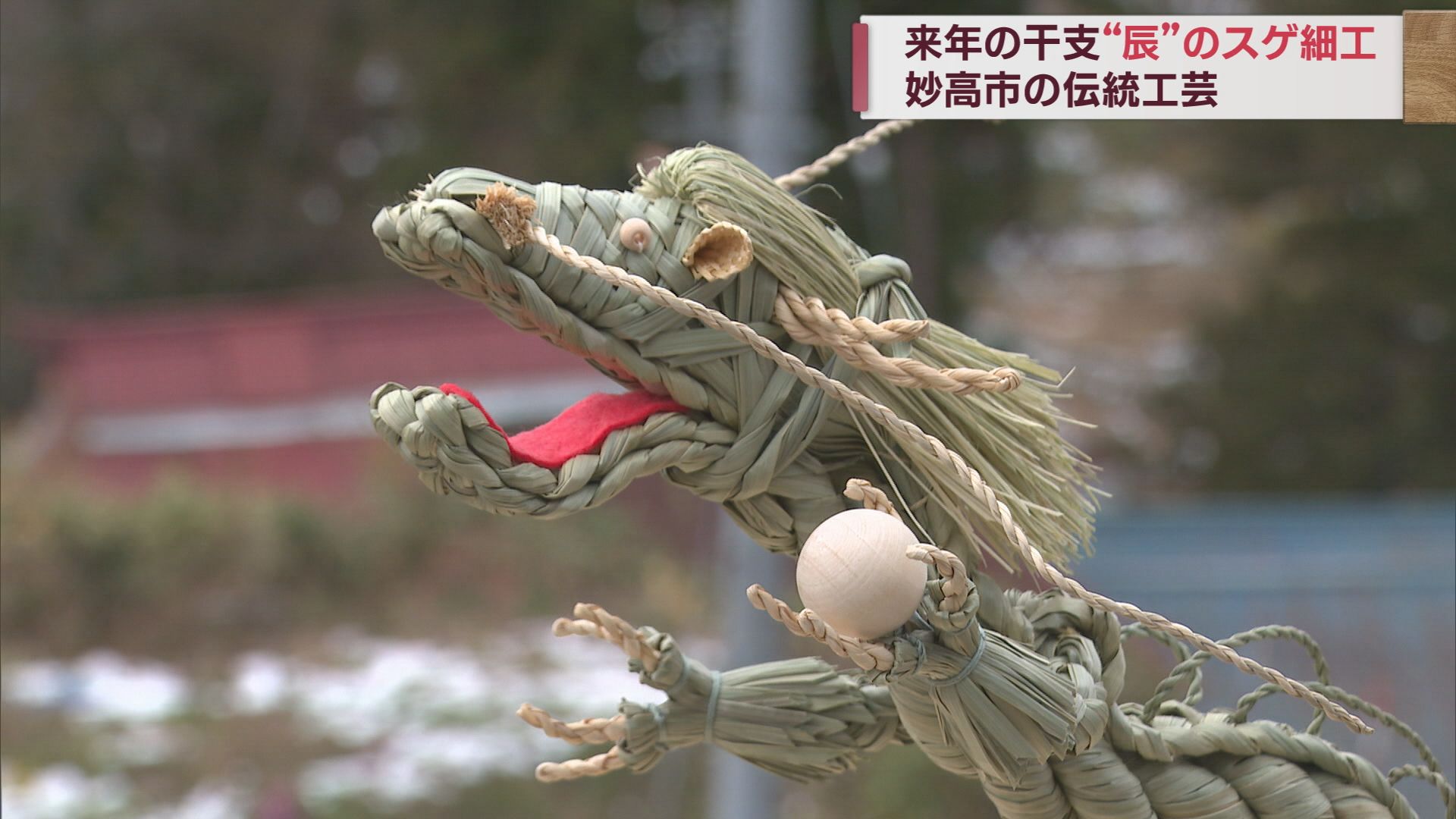 来年は「登り龍」のような年に 妙高市･平丸地区 伝統の「スゲ細工」作り【新潟】 2023年11月29日(水)