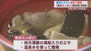 地元の酒粕･温泉を活用して養殖「魚沼スッポン」受注スタート【新潟･南魚沼市】 2023年11月27日(月)