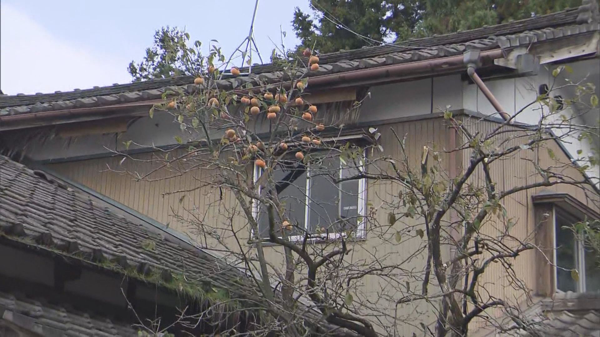 カキの木に「黒い塊が」…正体はクマ 住民 驚がく「また来るかも」一夜明けて大至急伐採【新潟･新発田市】