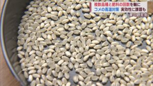 コメの猛暑対策は 来夏は複数品種を田植え･肥料の回数増を柱に【新潟】 2023年11月28日(火)