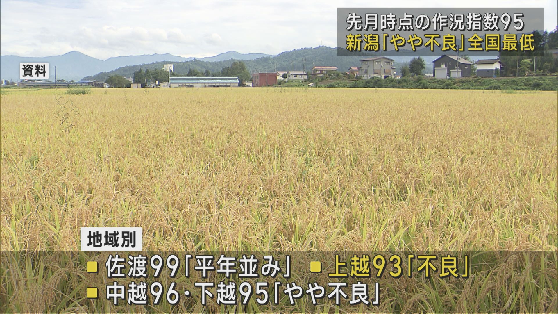 コメの作況指数･新潟は｢95｣で「やや不良」鳥取と並び全国最低 高温に耐える品種開発が課題か【新潟】