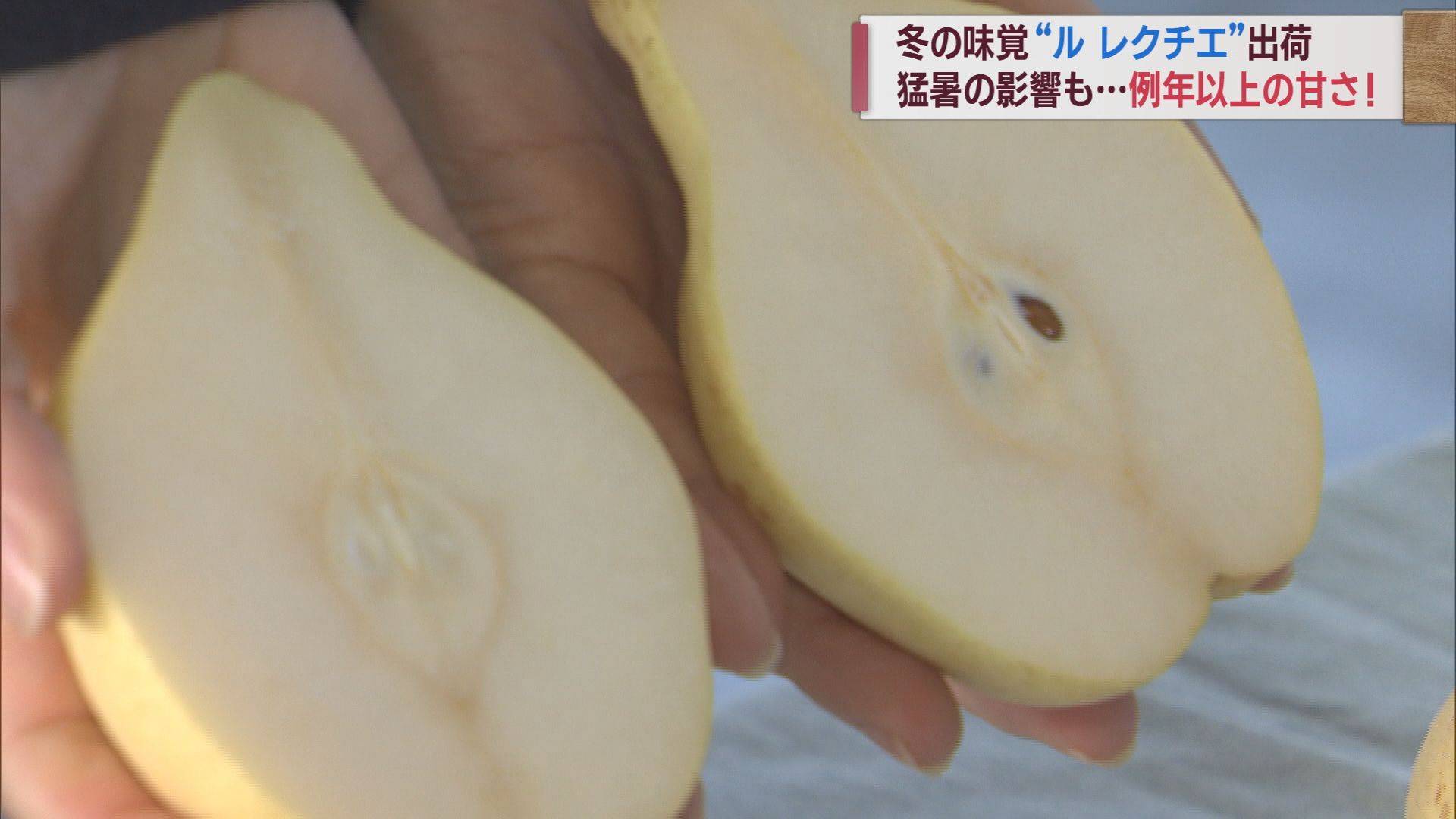 冬の味覚「ル レクチエ」猛暑･渇水乗り越え甘さ上々 22日から店頭に【新潟】