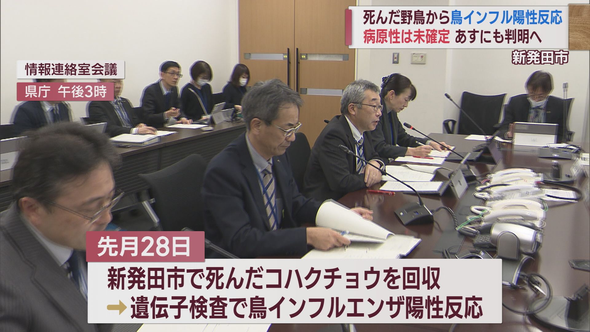 高病原性鳥インフル 死んだ野鳥からウイルス検出 養鶏場に対策徹底を指示【新潟】 2023年12月06日(水)