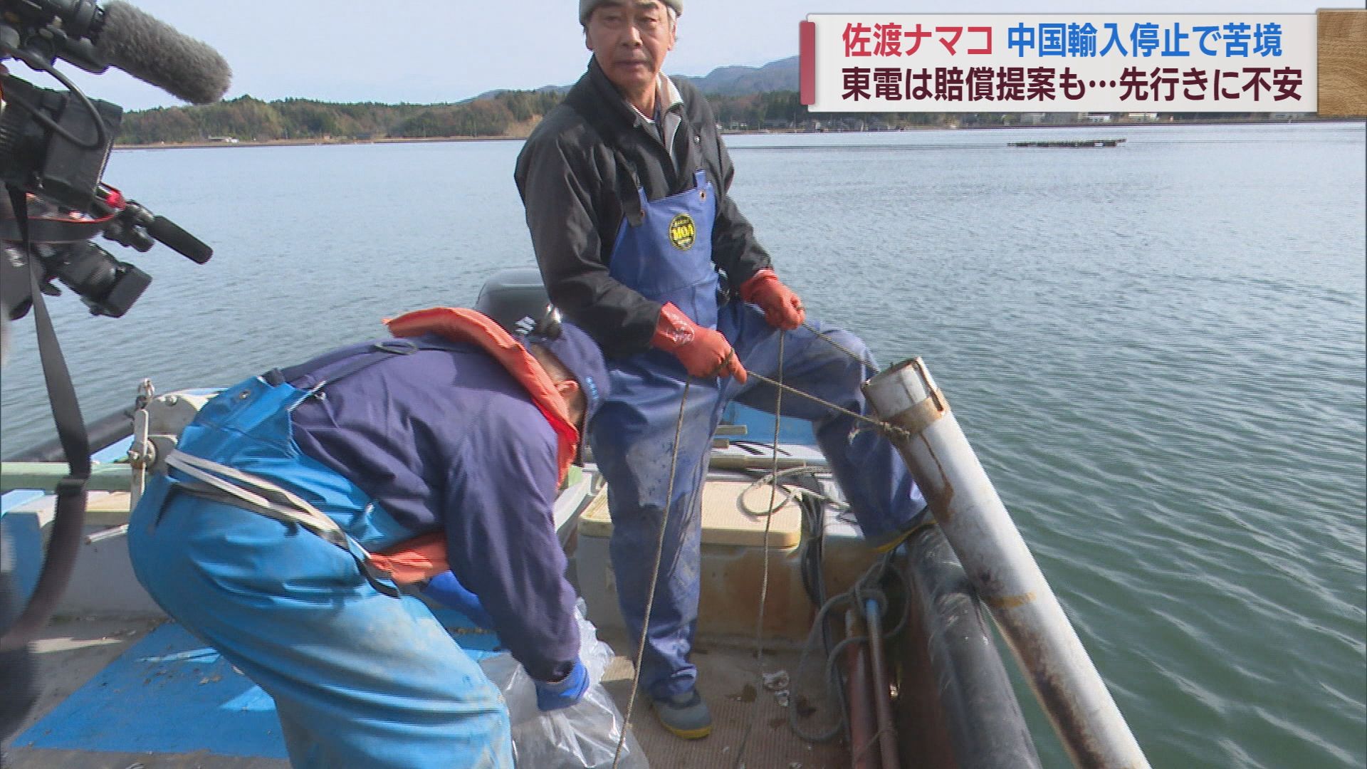 佐渡産ナマコも「中国が禁輸」 原発処理水放出の影響 東電が補償検討も募る不安【新潟】 2023年12月05日(火)