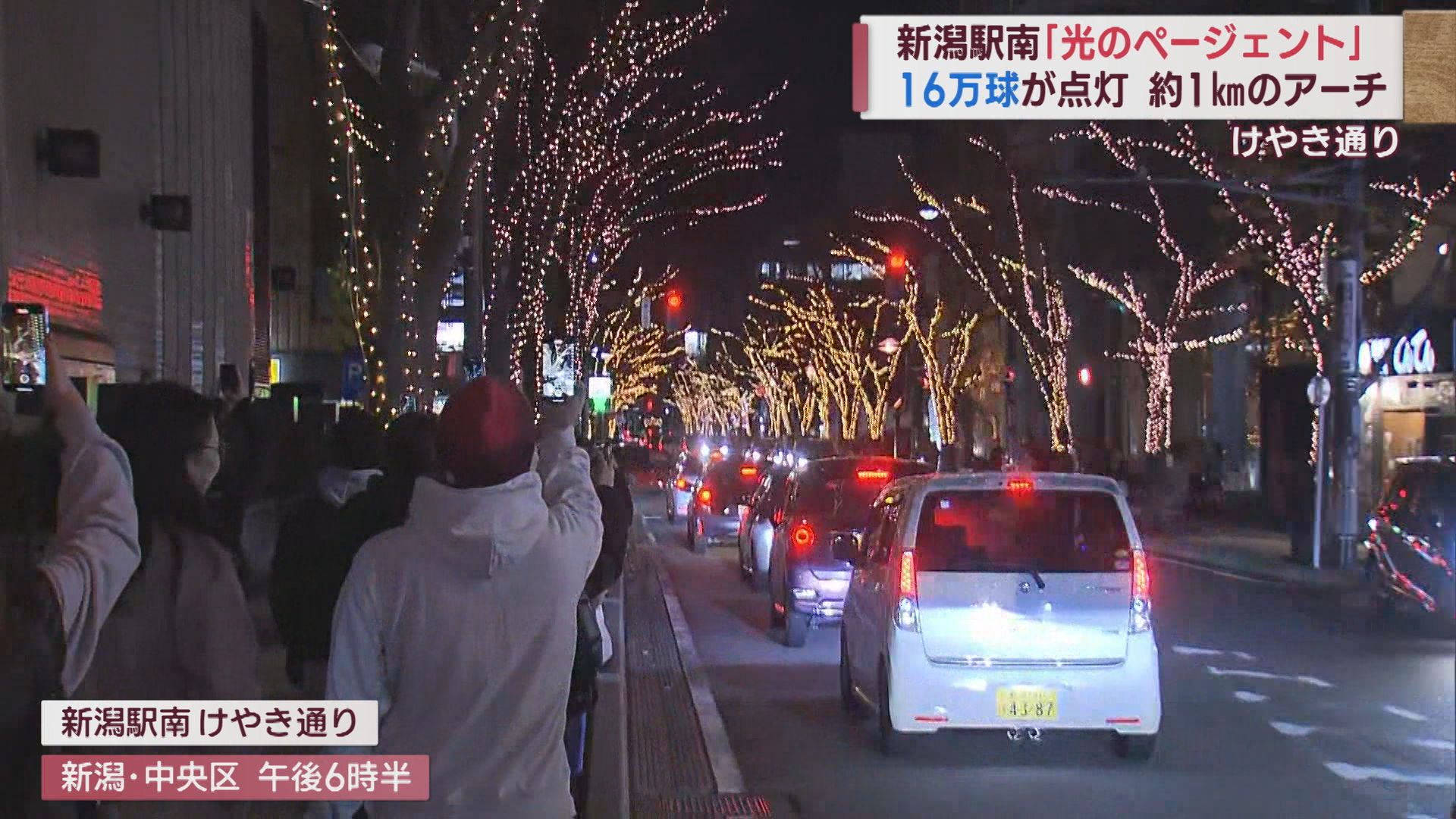 16万の電球が照らす冬のけやき通り 光のページェント始まる。【新潟】 2023年12月08日(金)