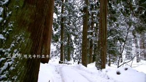 2024年1月🌱TeamECOメッセージは五泉市