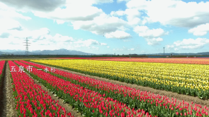 2024年4月🌱Team ECOメッセージは五泉市