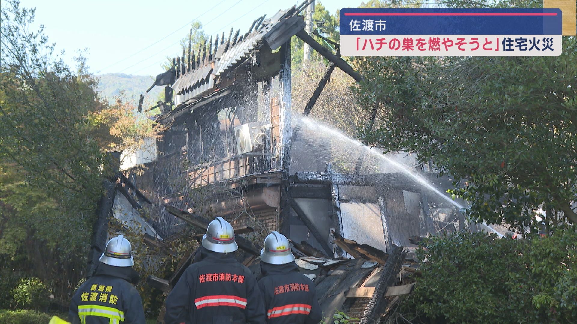 3日発生した佐渡市の住宅火災 住宅･蔵など4棟が全焼 住民は「ハチの巣を燃やそうと」…【新潟】