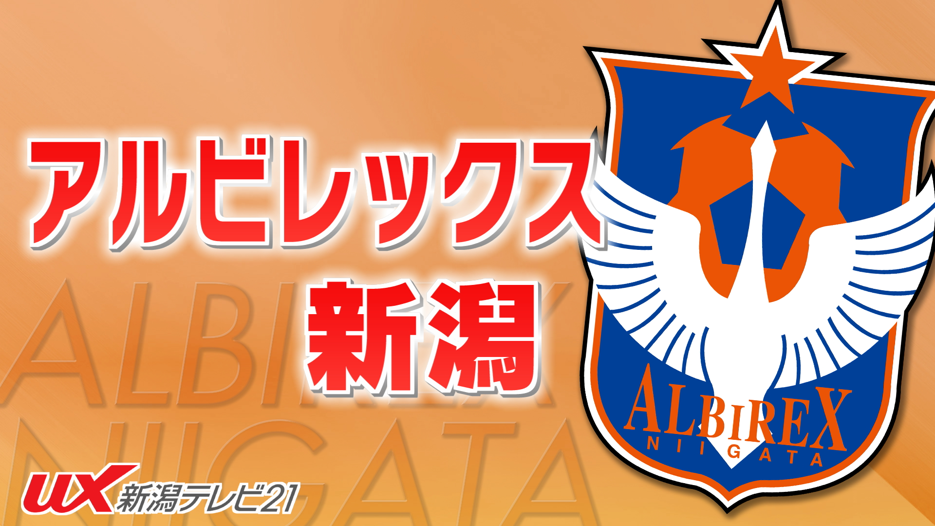 【サッカー｜J1アルビ】4試合ぶりの勝ち点3 新加入の外国人が来日初ゴール！アウェーで今季2勝目【新潟】 2025年04月29日(火)