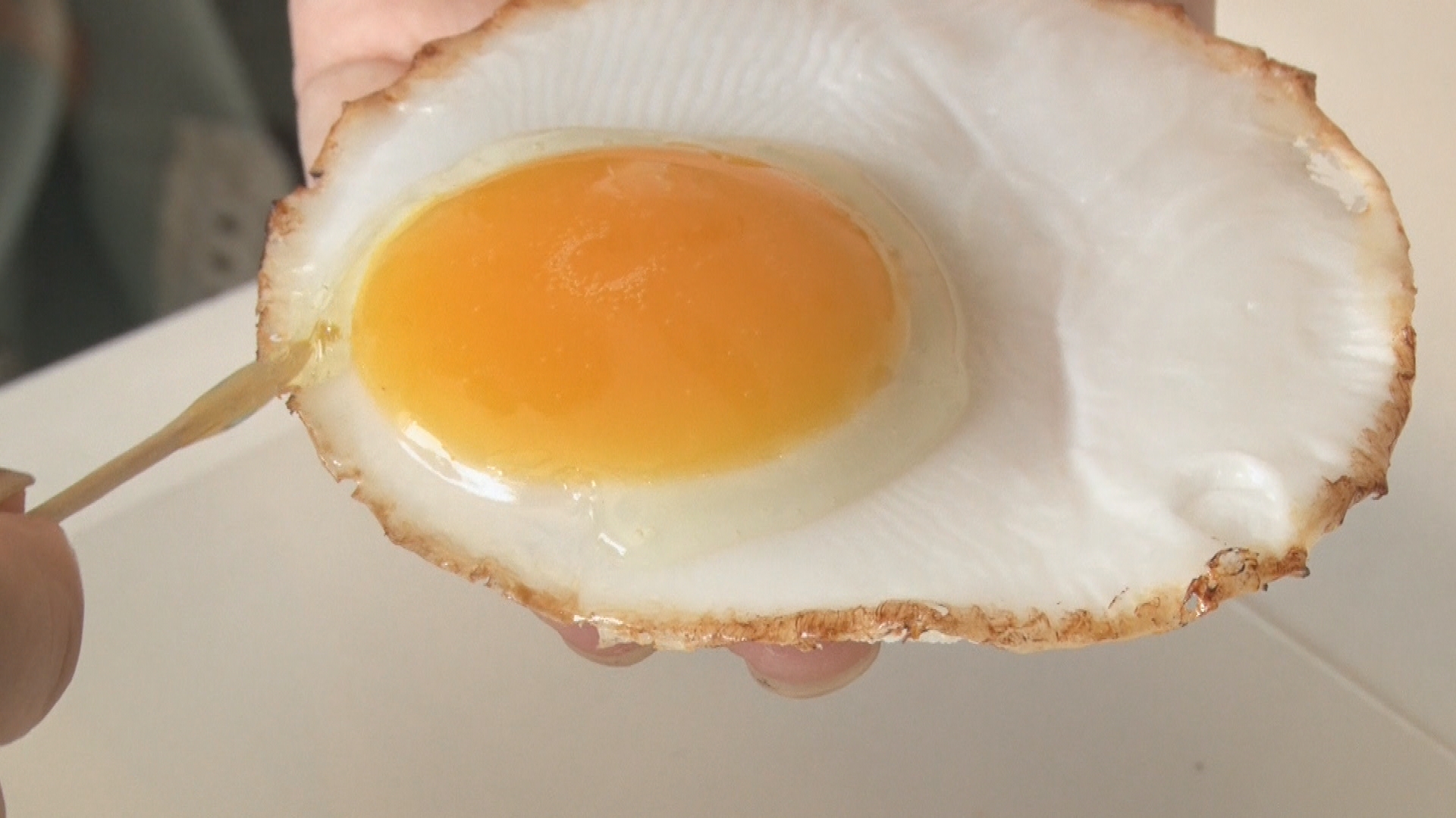 6/29『本物そっくり食品サンプルの世界』