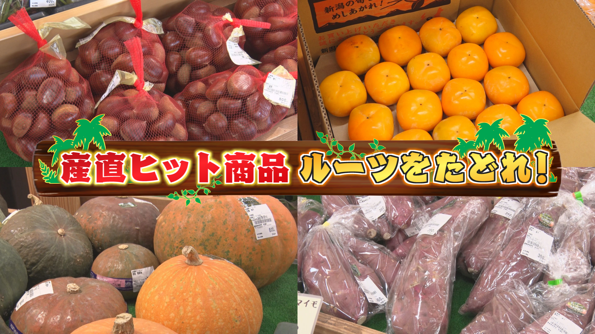 10/26『産直ヒット商品 ルーツをたどれ！第１５弾』