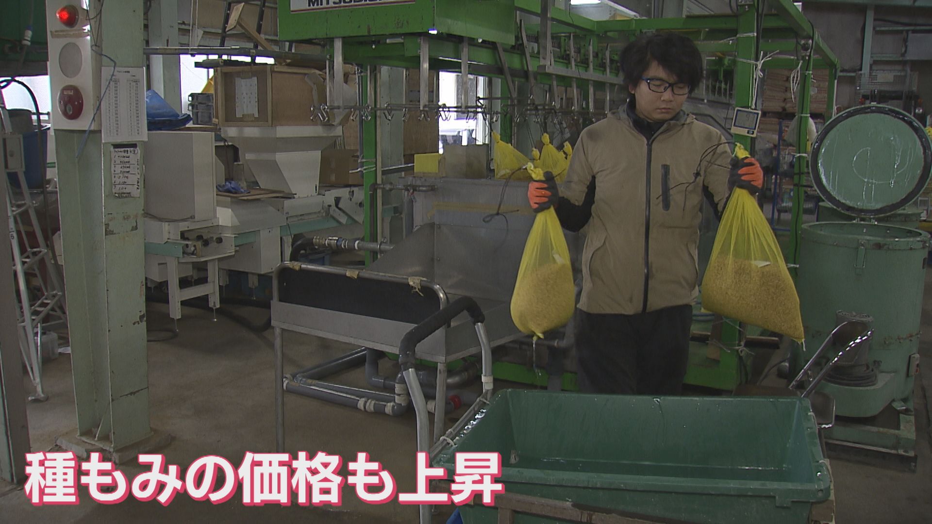 種もみの価格も上昇 田植えに向けて苗の準備始まる【新潟･阿賀野市】