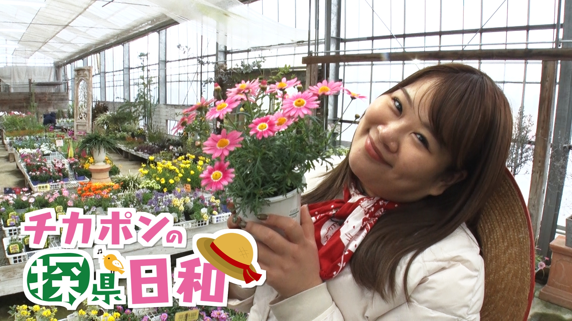 #224　新潟市江南区