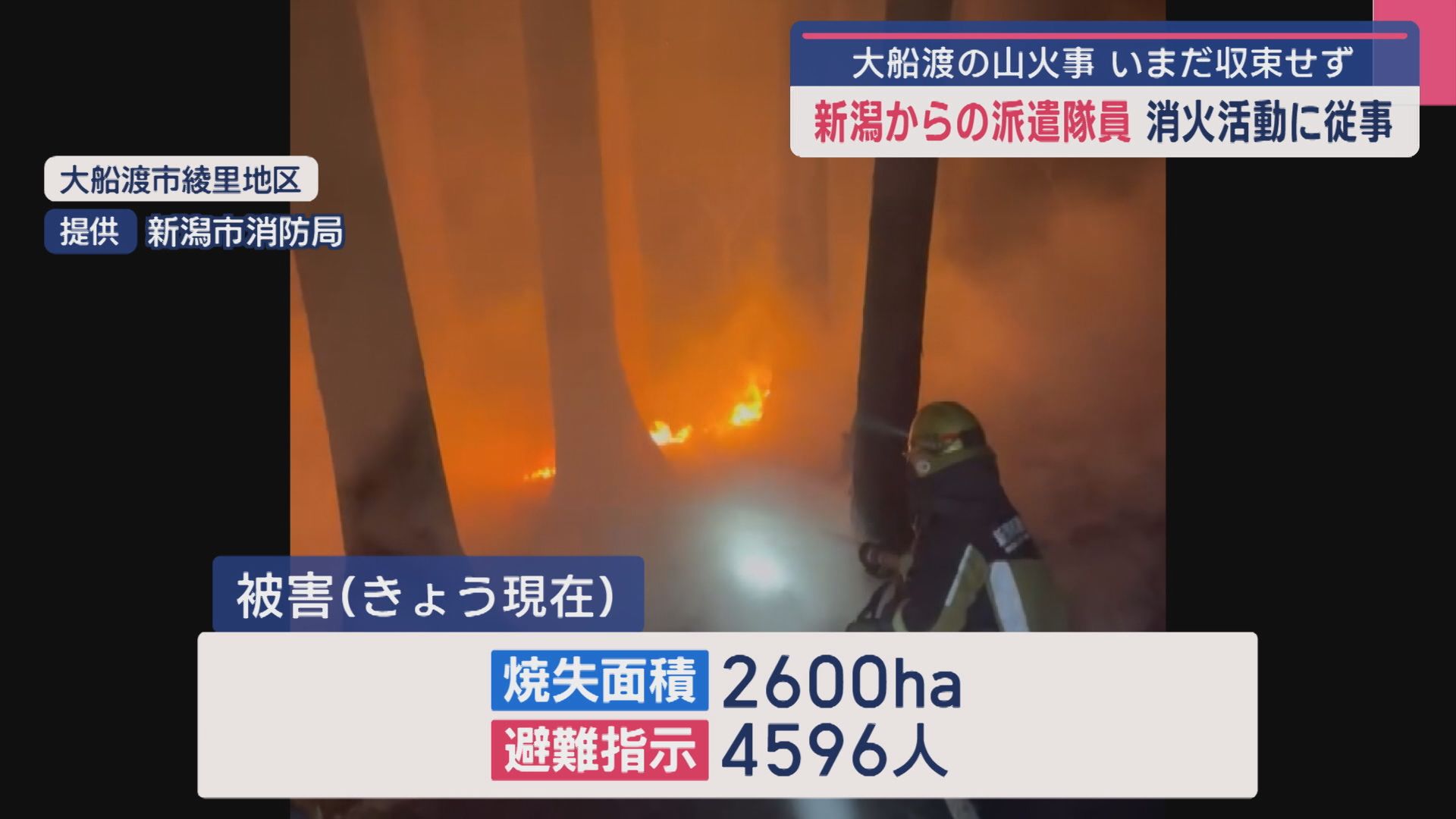 【大船渡の山火事】消火活動の映像公開：新潟からの派遣隊員が消火活動に従事【新潟】