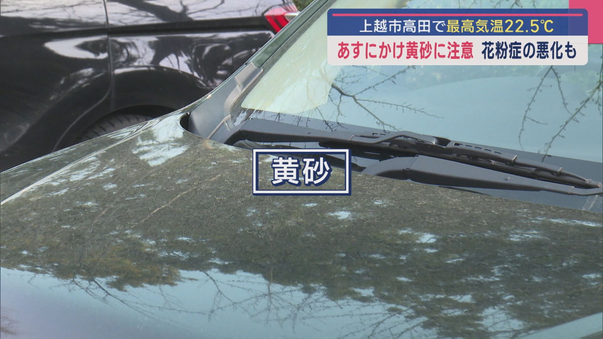 県内各地で今年一番の暖かさに：26日にかけ“黄砂”警戒、花粉症の悪化も【新潟】 2025年03月25日(火)