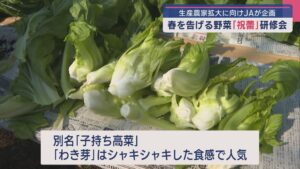 春を告げる野菜「祝蕾」栽培農家の拡大に向け研修会【新潟】 2025年03月26日(水)