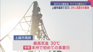 本州で初めての真夏日！上越市高田で30℃、28日から観桜会 サクラの開花は？【新潟･上越市】 2025年03月27日(木)