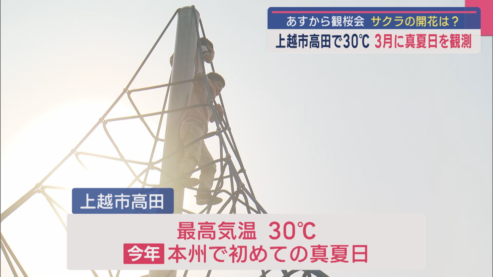 本州で初めての真夏日！上越市高田で30℃、28日から観桜会 サクラの開花は？【新潟･上越市】 2025年03月27日(木)