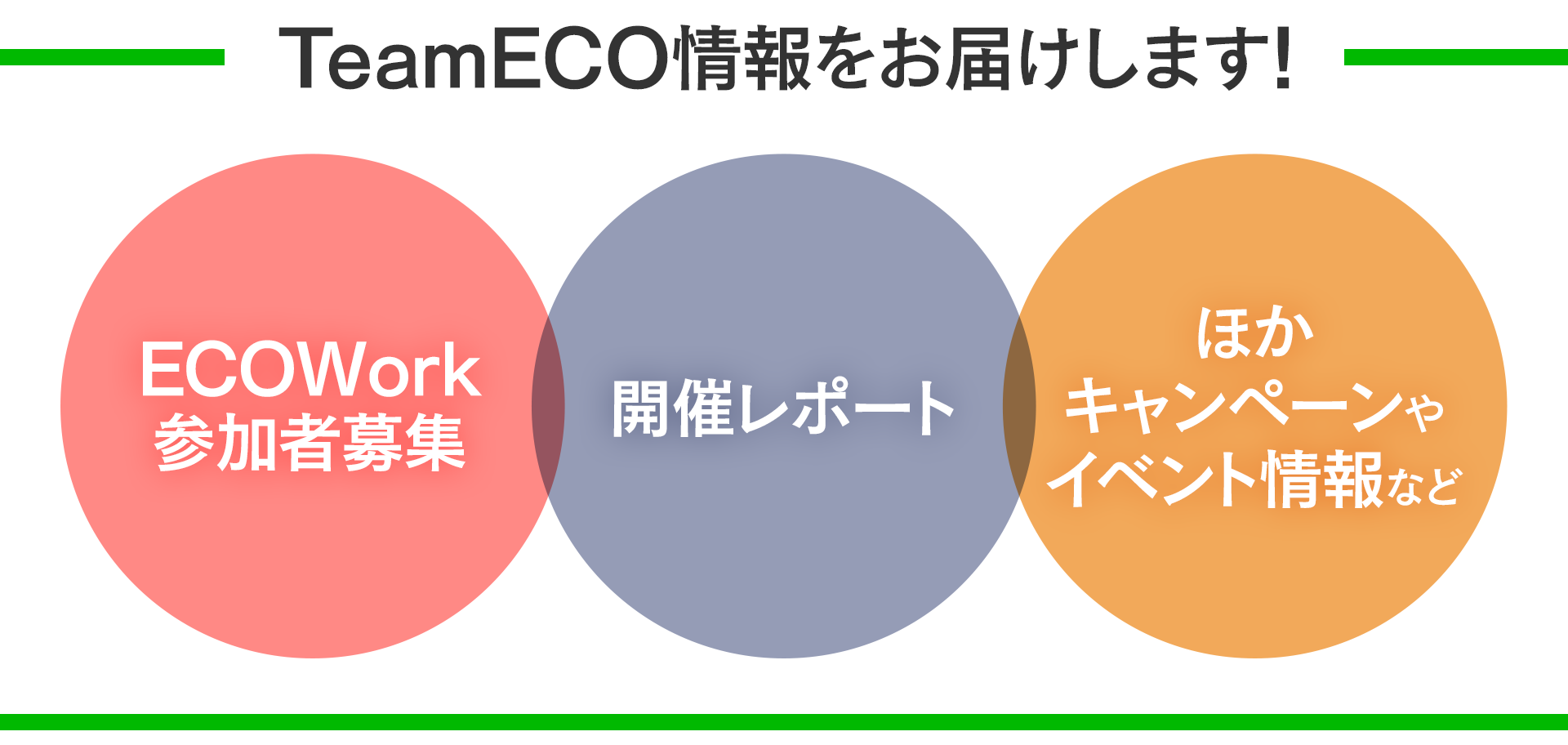 TeamECO情報をお届けします！ECOWork参加者募集・開催レポート・ほか、キャンペーンやイベント情報など