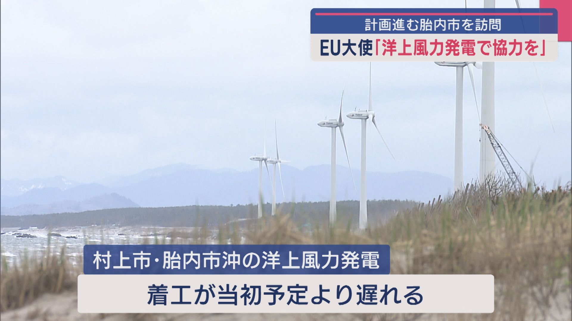 胎内市に「洋上風力発電で協力を」EU大使が関係強化へ市長と面会【新潟】 2025年04月04日(金)