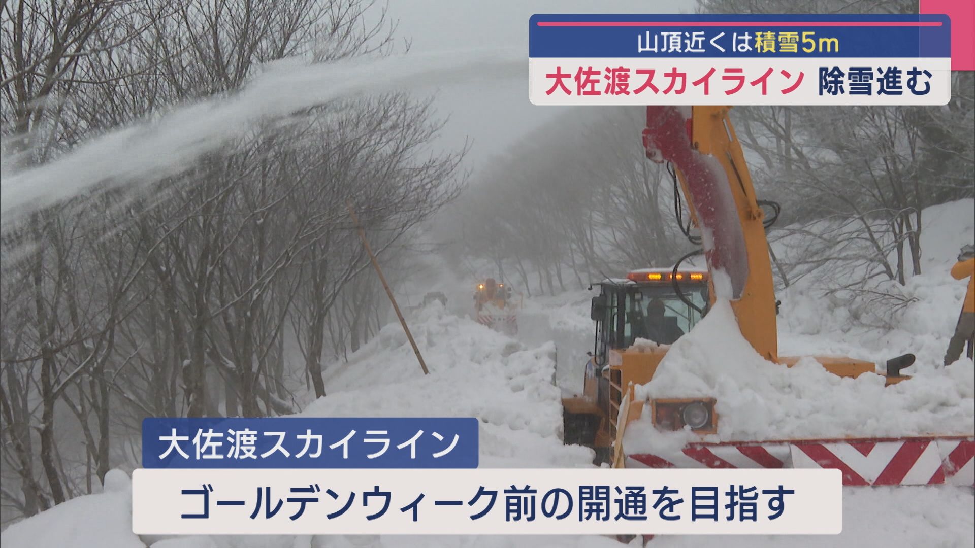 GW前の開通目指す「大佐渡スカイライン」除雪進む 山頂近くは積雪5m【新潟･佐渡市】