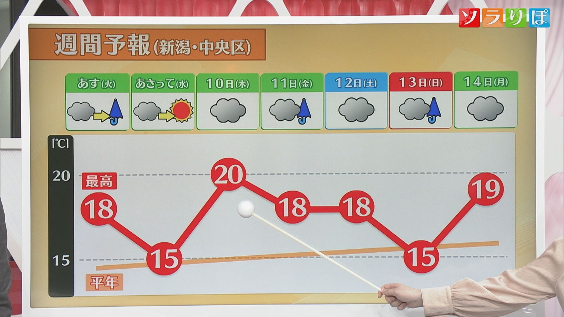 今週は気温が上がり桜の開花も進む、お花見はいつ頃？【気象予報士が解説｜新潟】 2025年04月07日(月)
