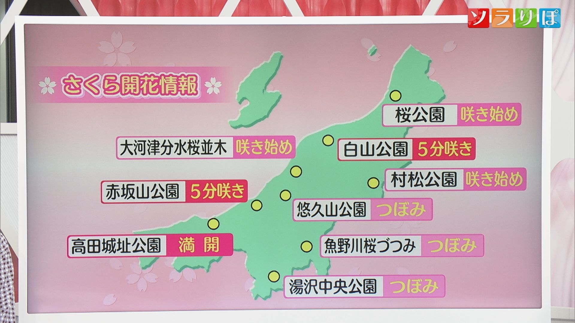 10日はにわか雨も気温UPで開花すすむ、各地のサクラ開花情報も【気象予報士が解説｜新潟】 2025年04月09日(水)