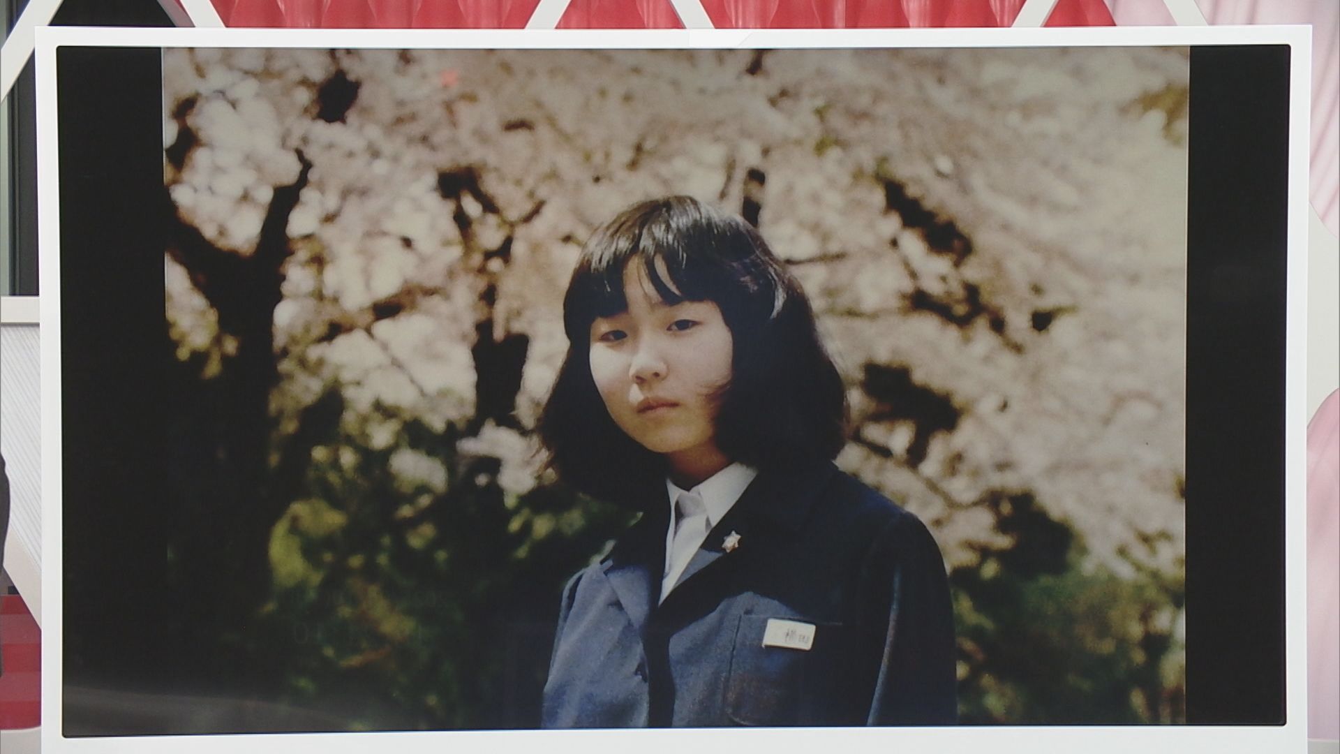 あの写真のようにサクラ咲く母校で再会を：めぐみさんの同級生が新しいサクラを植樹【新潟】