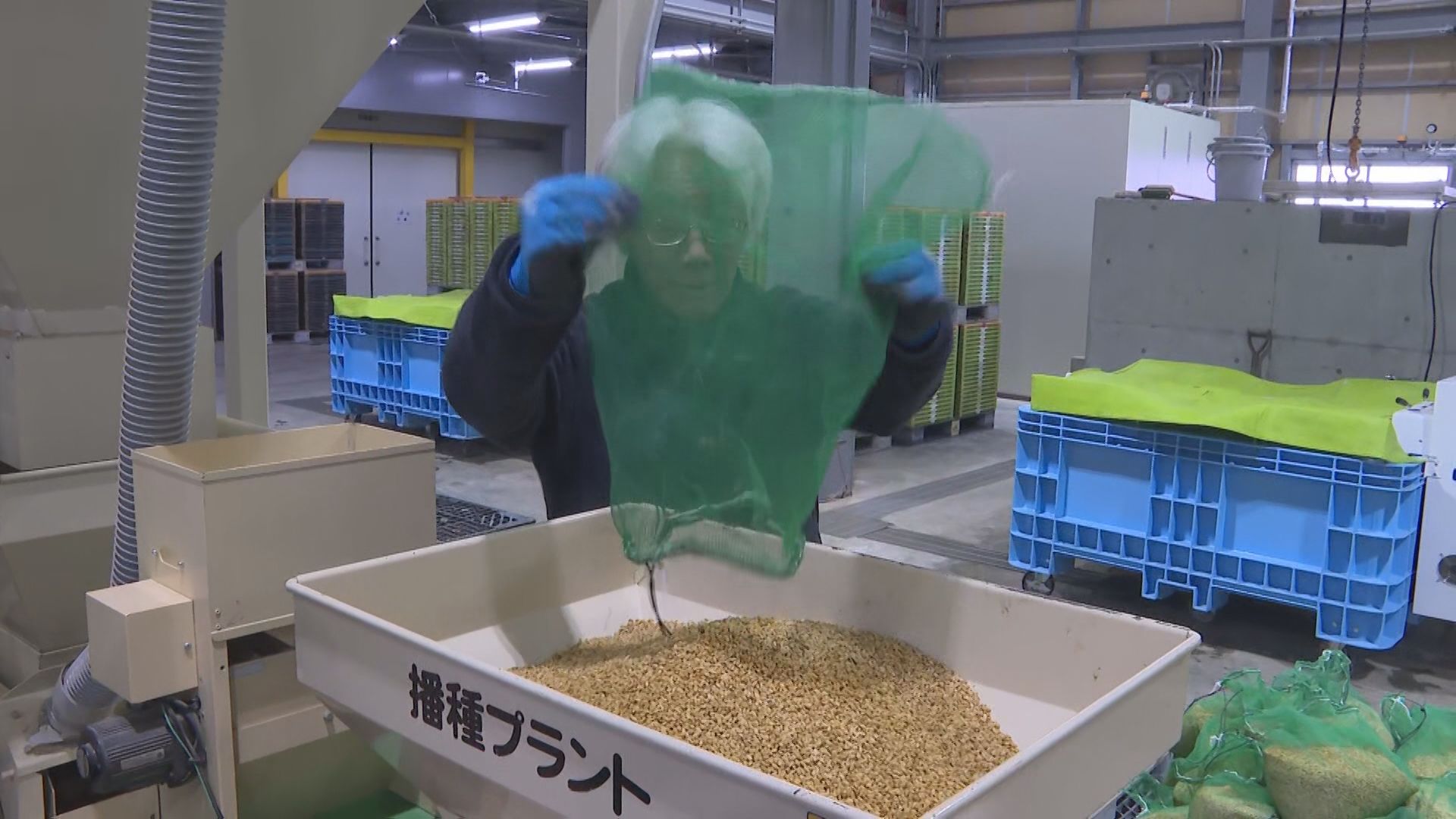 物価高で苗の価格も上昇「イネの種まき」田植えに向け準備進む【新潟･長岡市】