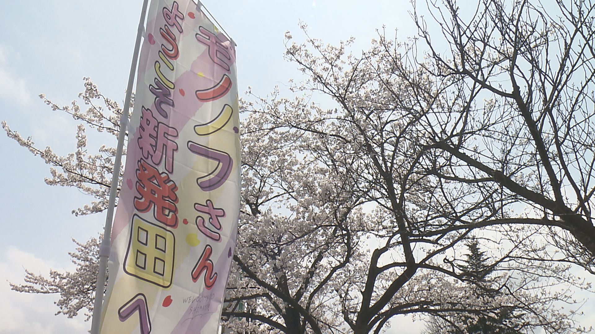 ももクロの野外ライブ2日目 強風のため中止、主催者「安全を最優先に考慮し判断」【新潟･新発田市】 2025年04月13日(日)