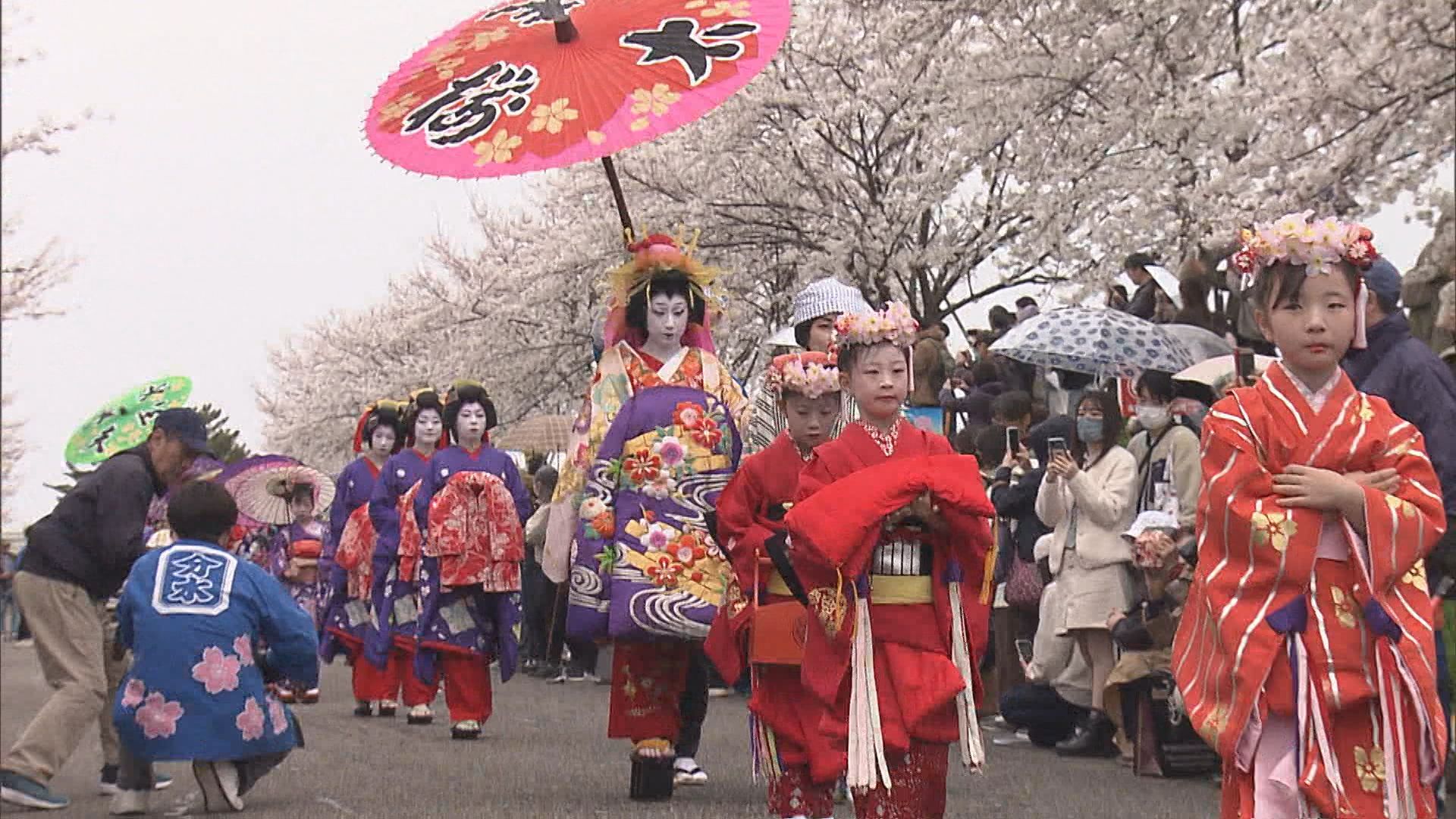 燕市で『分水おいらん道中』開催 桜並木を練り歩く【新潟】 2025年04月13日(日)