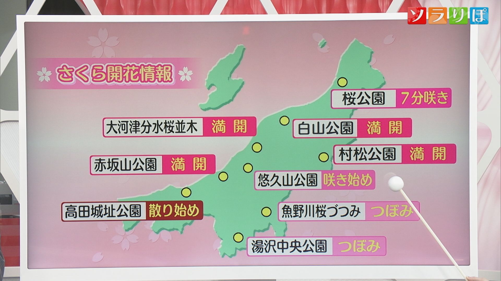 15日は『花散らしの雨』県内は断続的に雨や雷雨【気象予報士が解説│新潟】 2025年04月14日(月)