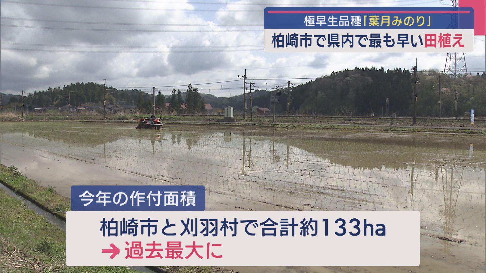 県内で最も早い田植え 極早生品種「葉月みのり」作付面積は過去最大に【新潟･柏崎市】 2025年04月21日(月)