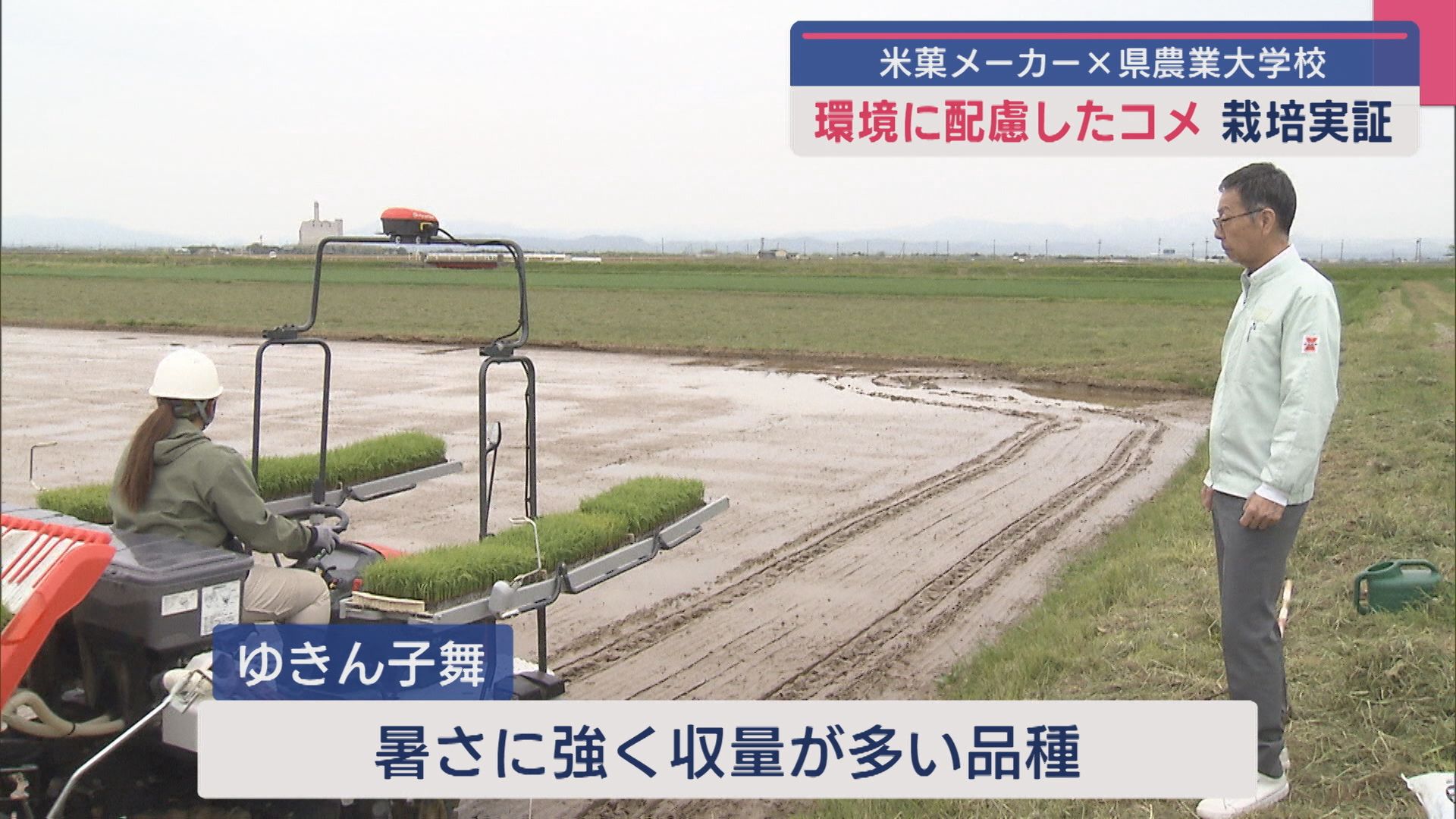 今年は肥料の量などを改善 米菓メーカーと県農業大学校が環境に配慮したコメの栽培に取り組む【新潟】 2025年04月30日(水)