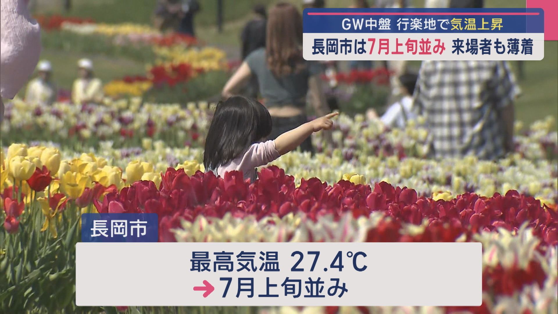 長岡市は「7月上旬並み」約16万本のチューリップが見頃、来場者も薄着の姿に【新潟】 2025年05月01日(木)