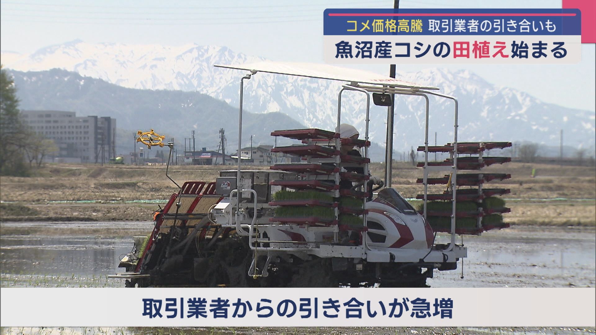 業者が高値で取り引き提案に『ダメ』コメ農家で「魚沼産コシヒカリ」の田植えはじまる 【新潟】 2025年05月01日(木)