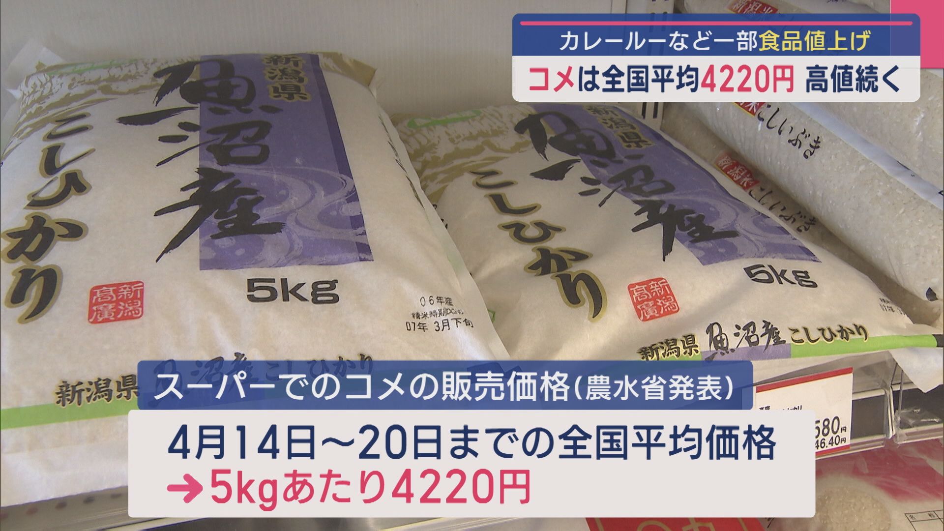 問屋から出荷制限も…コメは全国平均4220円と高値続く、カレールーなど一部食品が値上げに【新潟】 2025年05月01日(木)