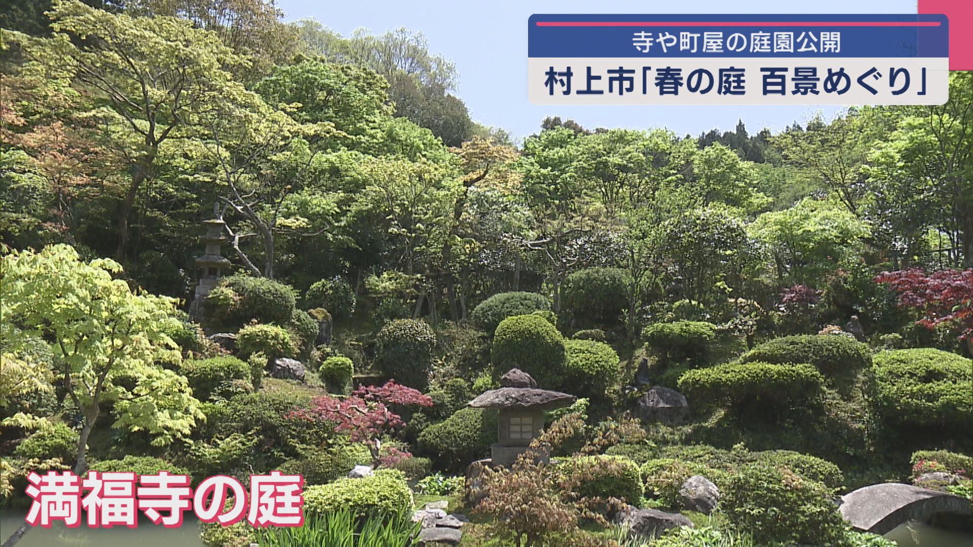 新緑に赤いモミジ「春の庭 百景めぐり」開幕 寺や町屋の庭園など45カ所を公開【新潟･村上市】 2025年05月01日(木)