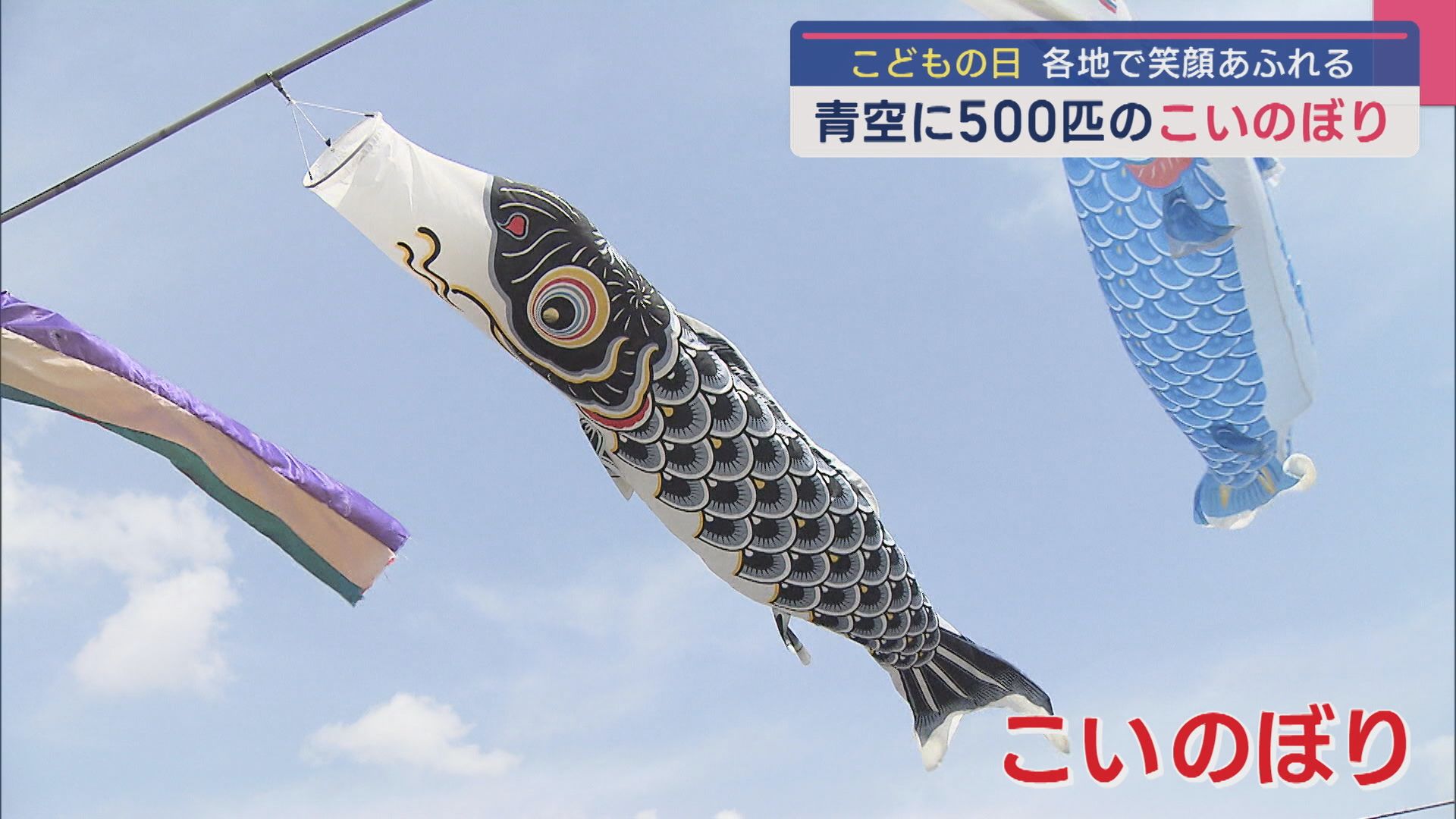 【こどもの日】約500匹のこいのぼりが青空を泳ぐ！加茂川の春の風物詩 家族連れでにぎわう【新潟】 2025年05月05日(月)