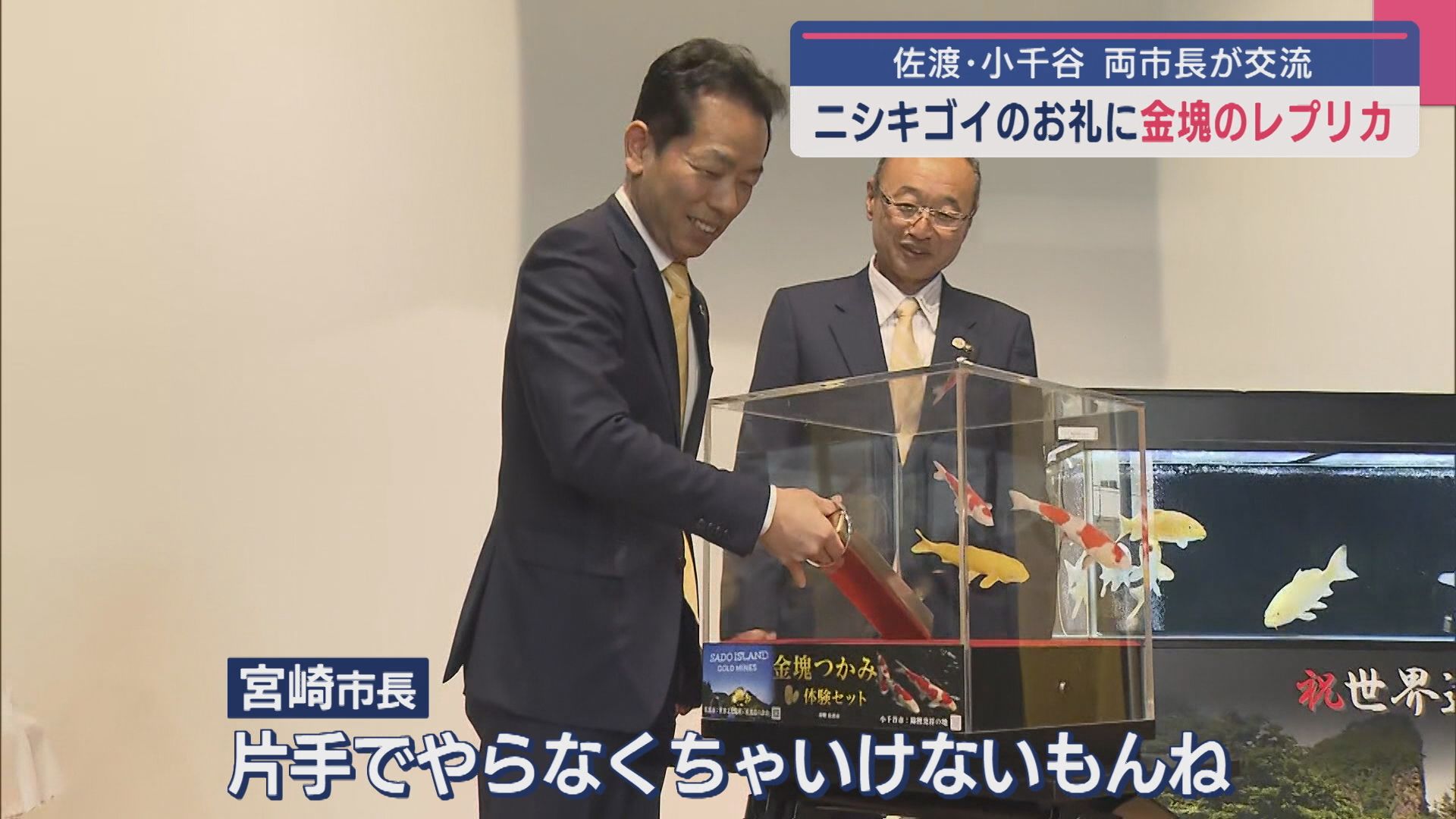 ニシキゴイのお礼に「金塊つかみ体験セット」佐渡市から小千谷市に寄贈【新潟】 2025年05月09日(金)