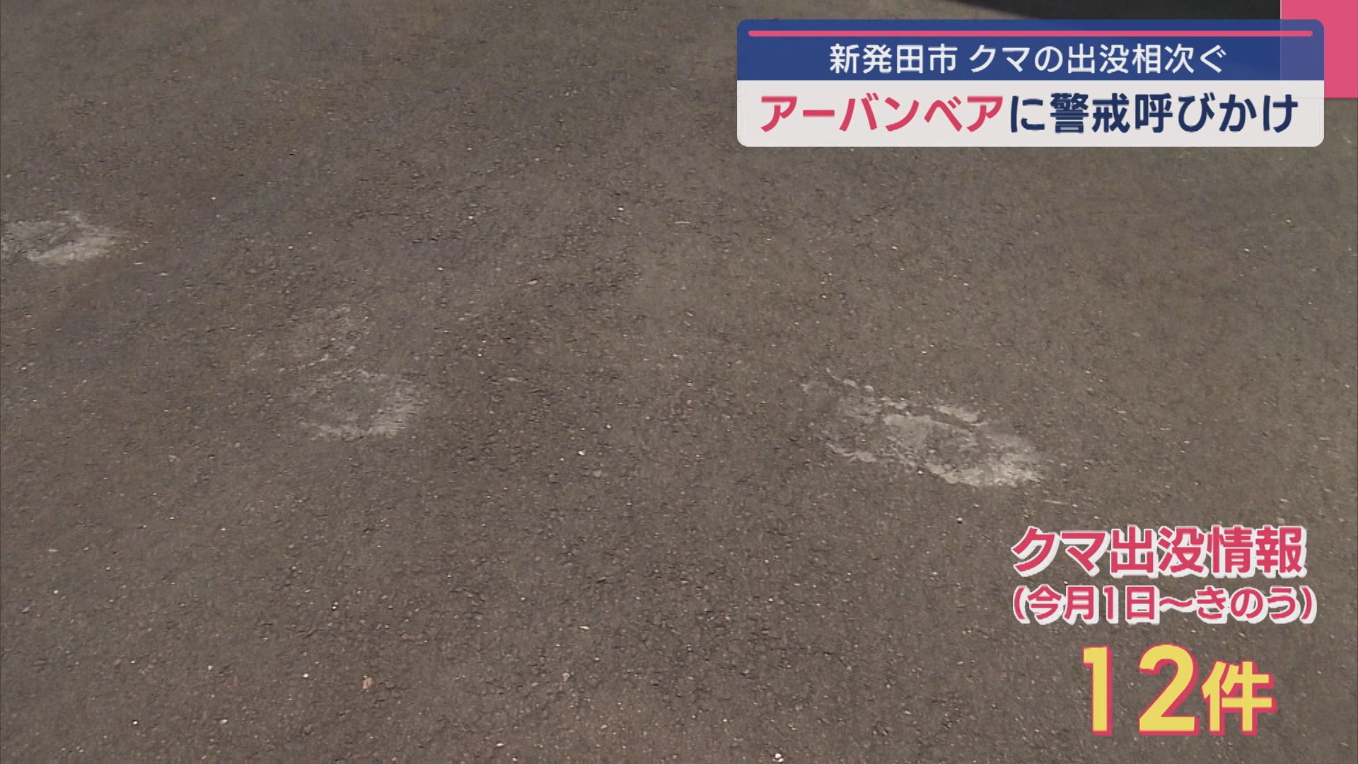 新発田市でクマの出没相次ぐ「アーバンベア」に注意･警戒【新潟】