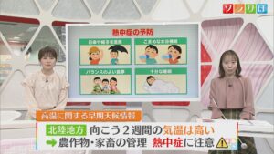 今日は南の夜空に「フラワームーン」14日は7月並みの暑さ“熱中症”に注意【気象予報士が解説｜新潟】 2025年05月13日(火)