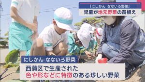 白いナスに紫色のミニトマト「にしかん なないろ野菜」児童が地元野菜の苗植え体験【新潟･西蒲区】 2025年05月13日(火)
