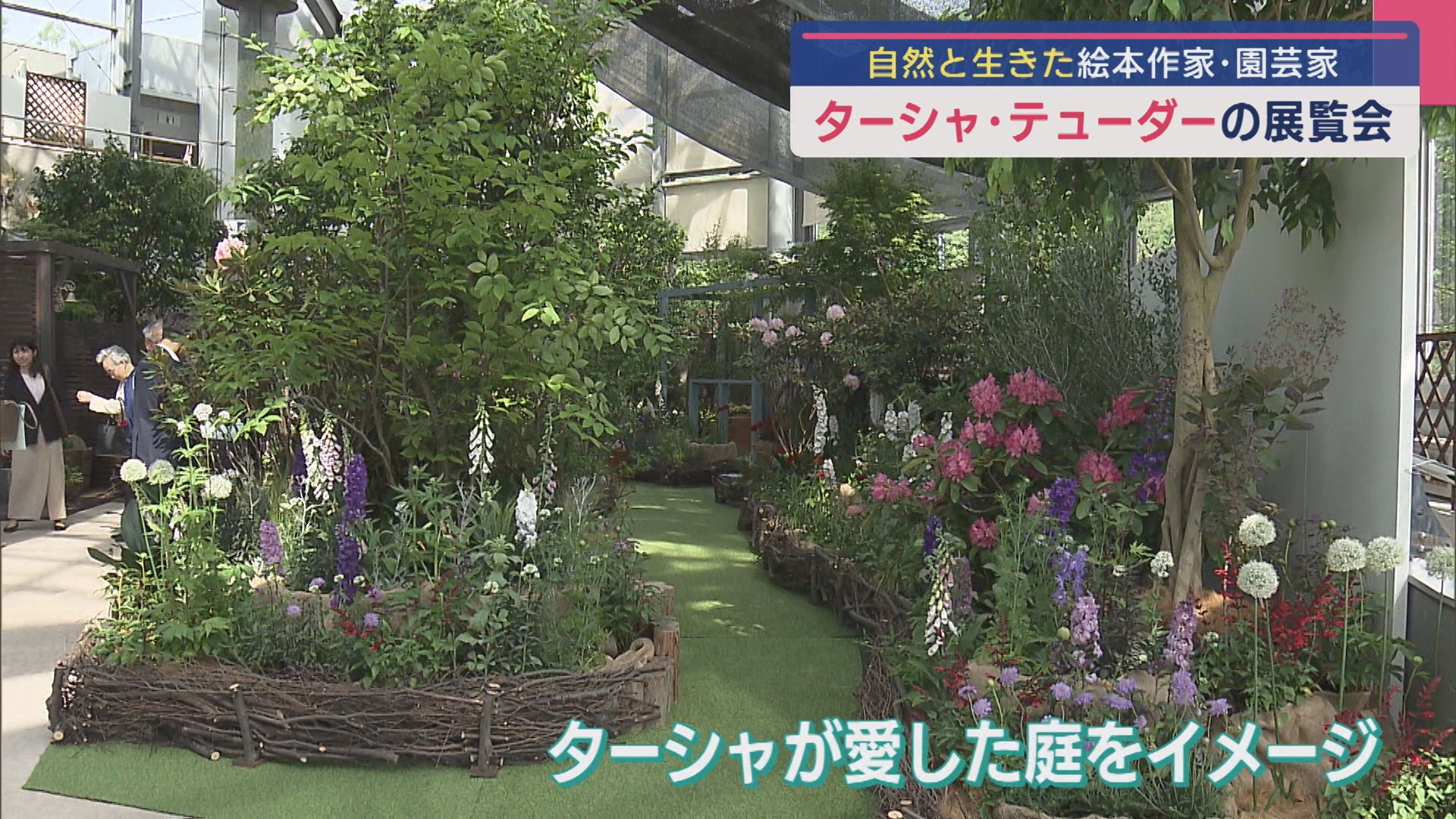 “県内初公開”の原画やアンティークドレスも展示：絵本作家で園芸家ターシャ・テューダーの展覧会【新潟】