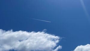 新潟市秋葉区で37.8℃ 県内で今シーズン一番の猛烈な暑さ【新潟】 2026年08月07日(金)