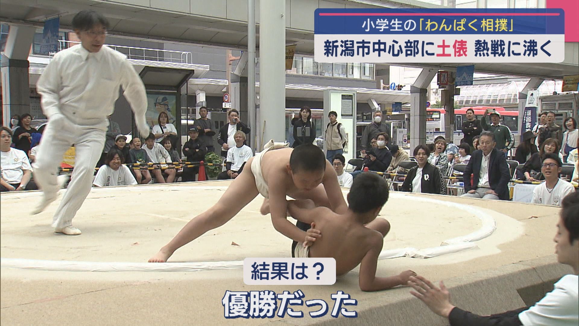 子どもたちが熱戦！新潟・古町に現れた〝土俵〟で小学生が「わんぱく相撲」【新潟】 2025年05月19日(月)