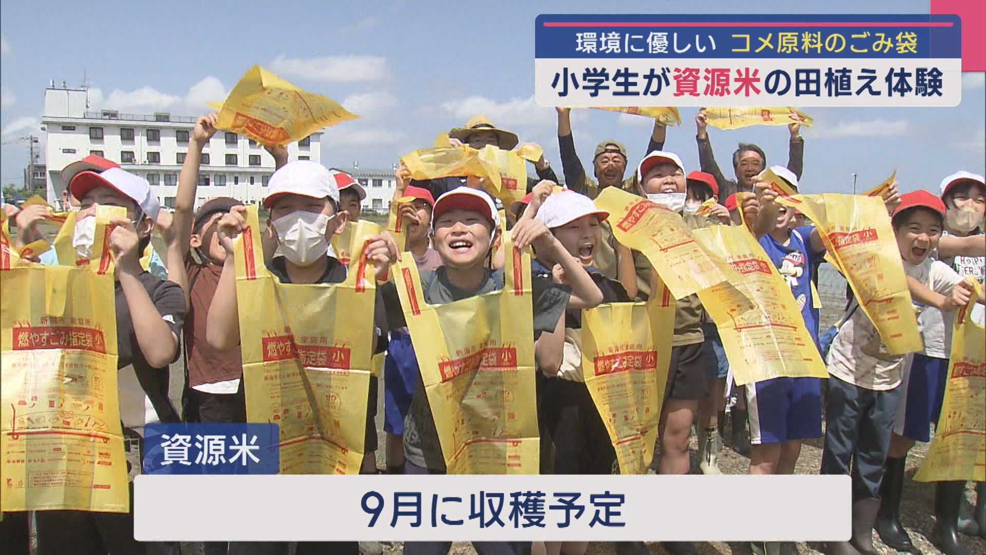 コメが「ごみ袋」の原料に 小学生が資源米の田植え体験【新潟】 2025年05月19日(月)