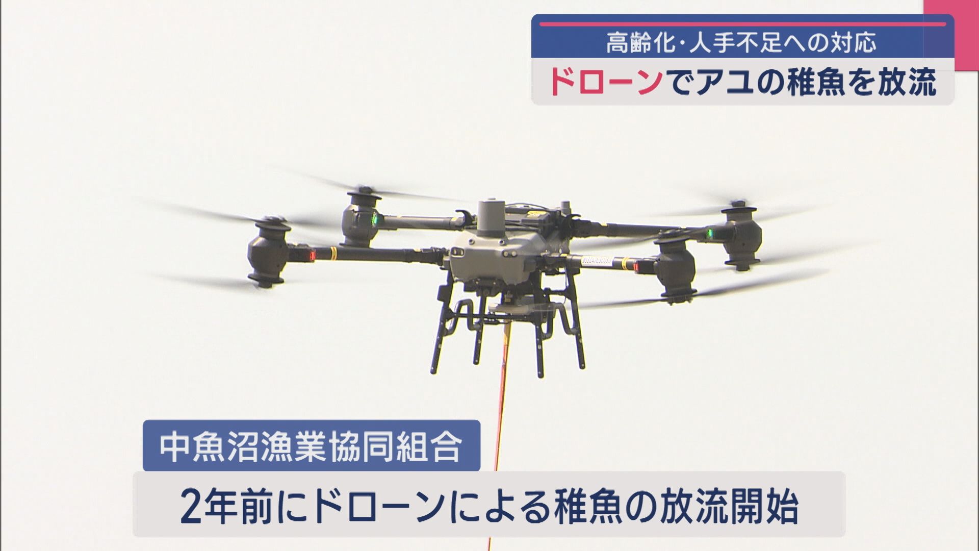 以前はバケツリレー 高齢化･人出不足に…ドローンが活躍！アユの稚魚を放流【新潟･十日町市】